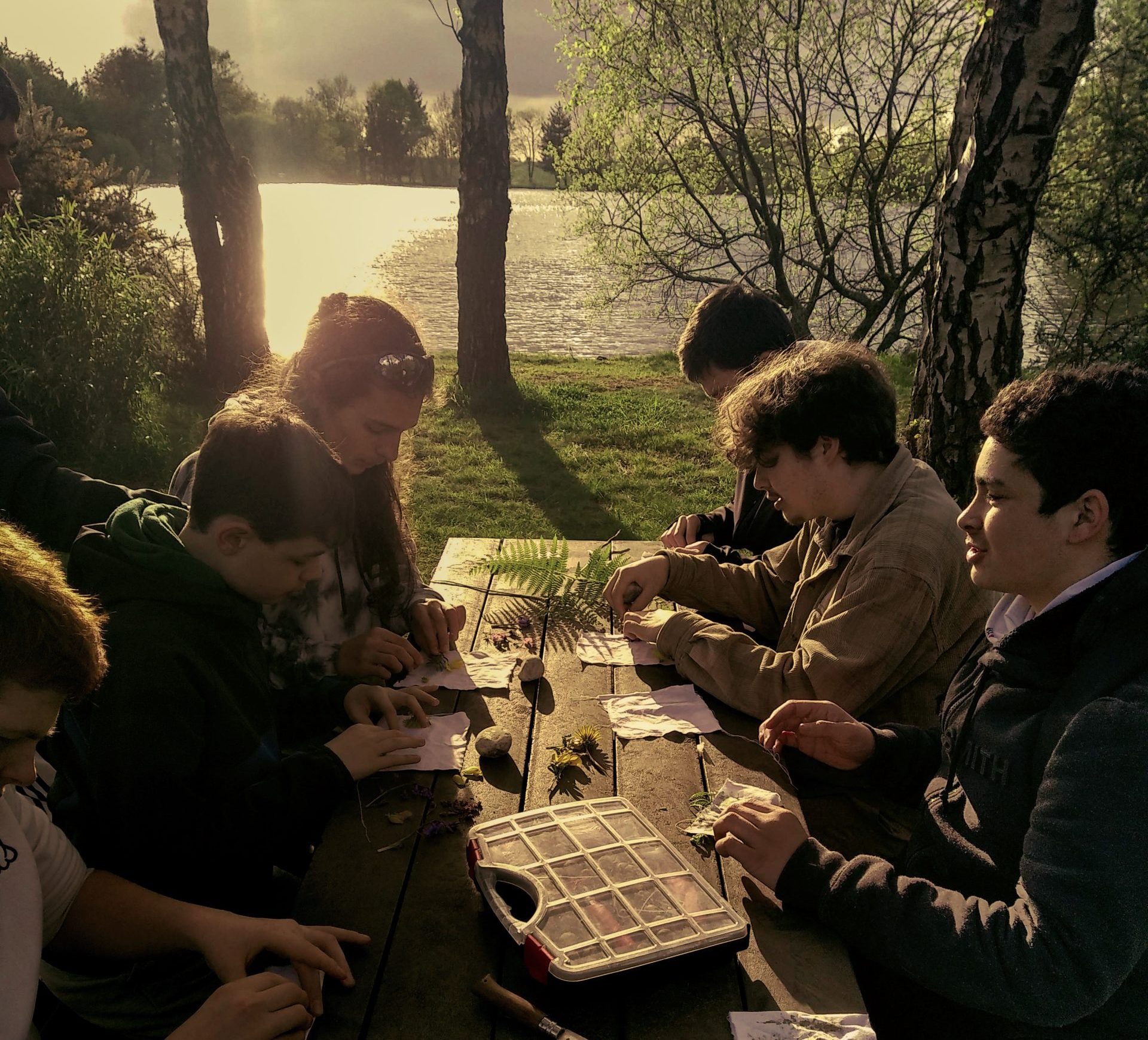 Travaux-pratiques-Nature-environnement-mfr-messac